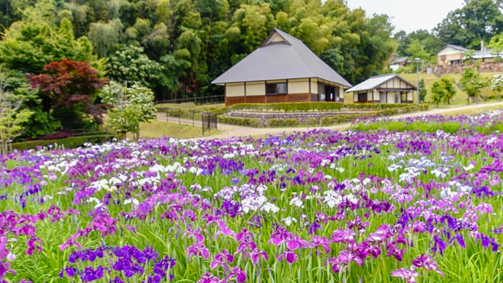 柿野温泉
