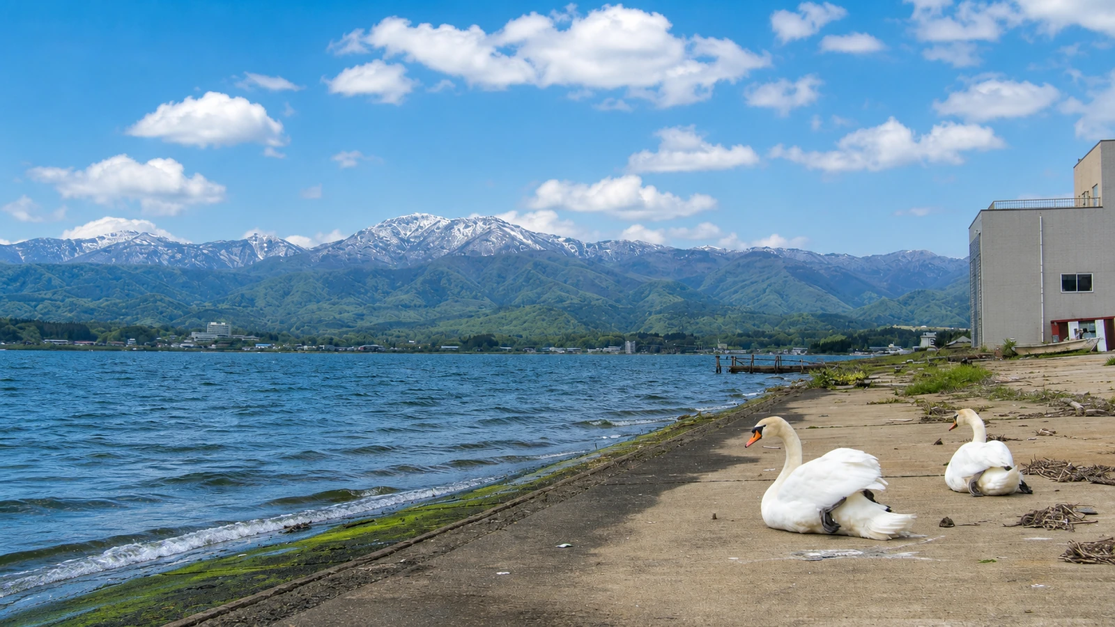 両津温泉郷