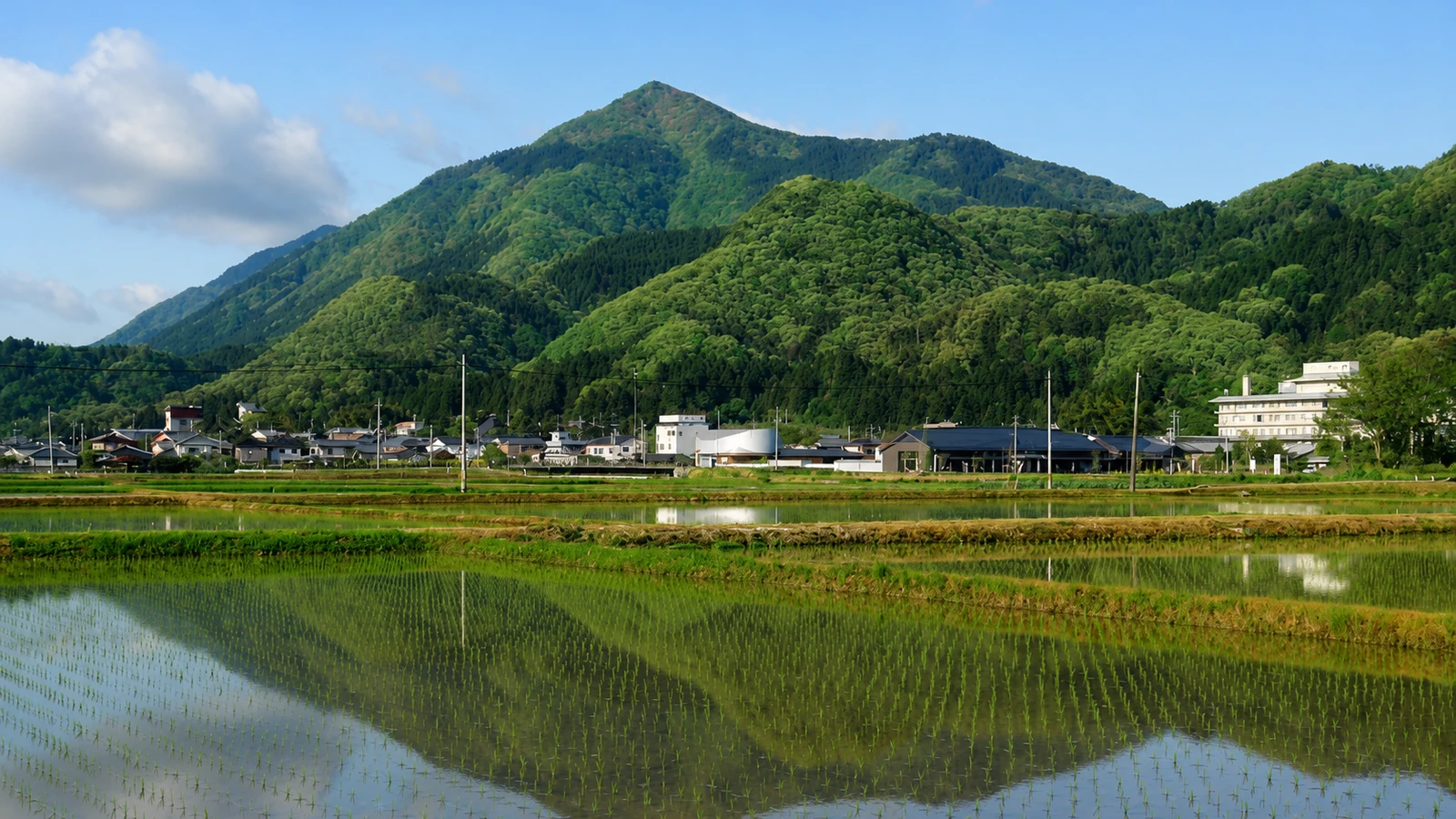 岩室温泉