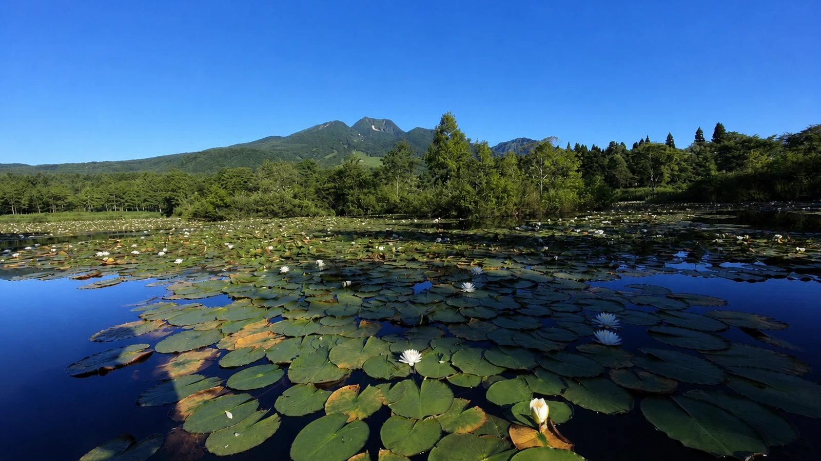 池の平温泉