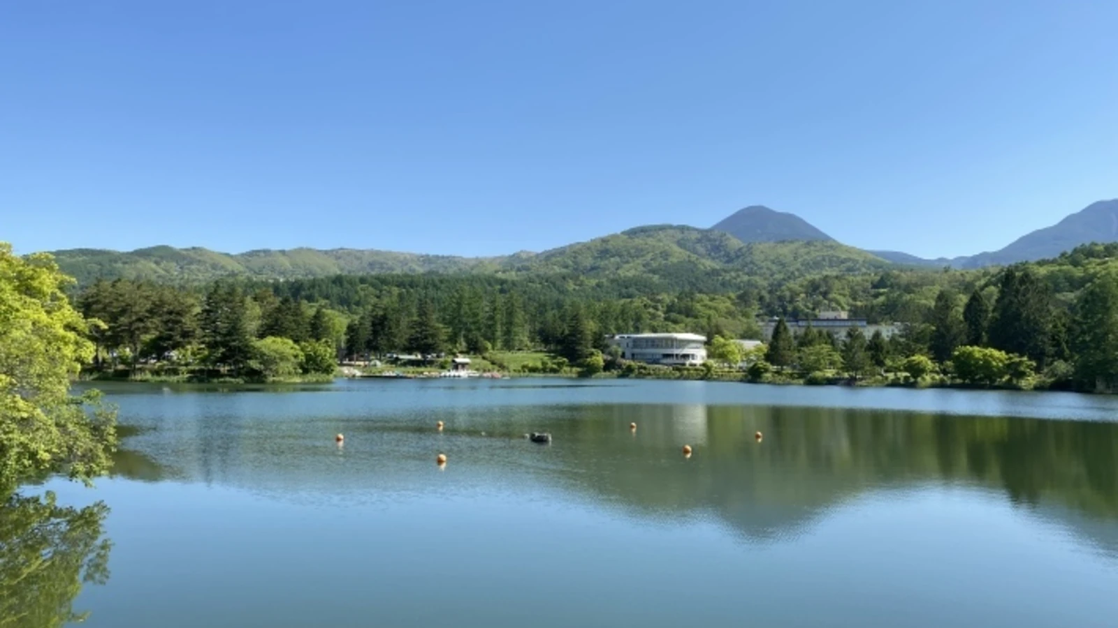蓼科温泉