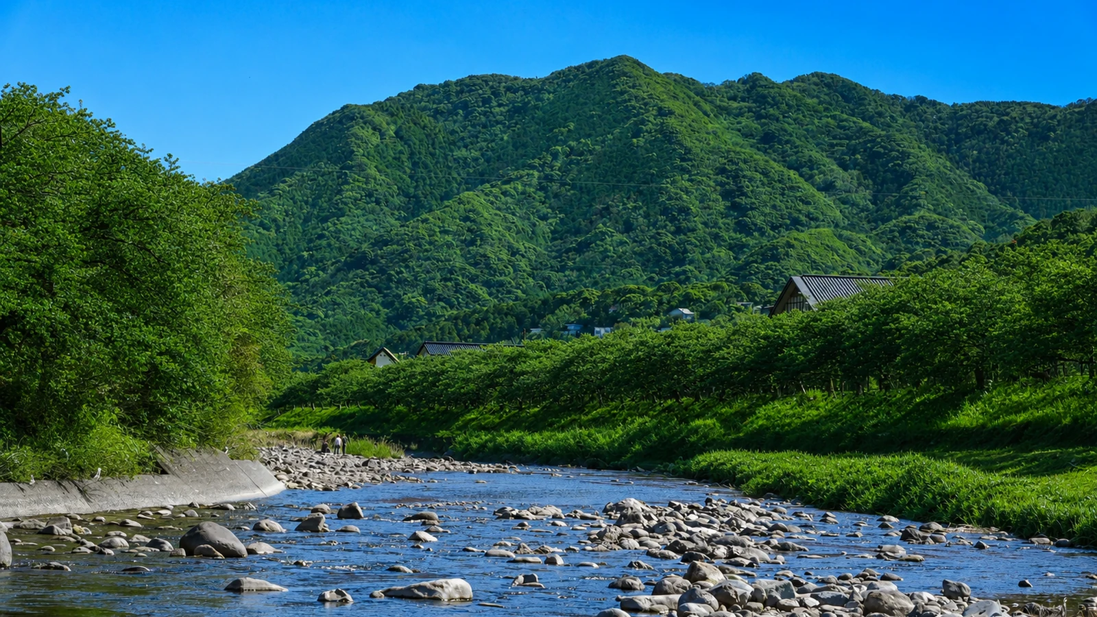 河津温泉郷