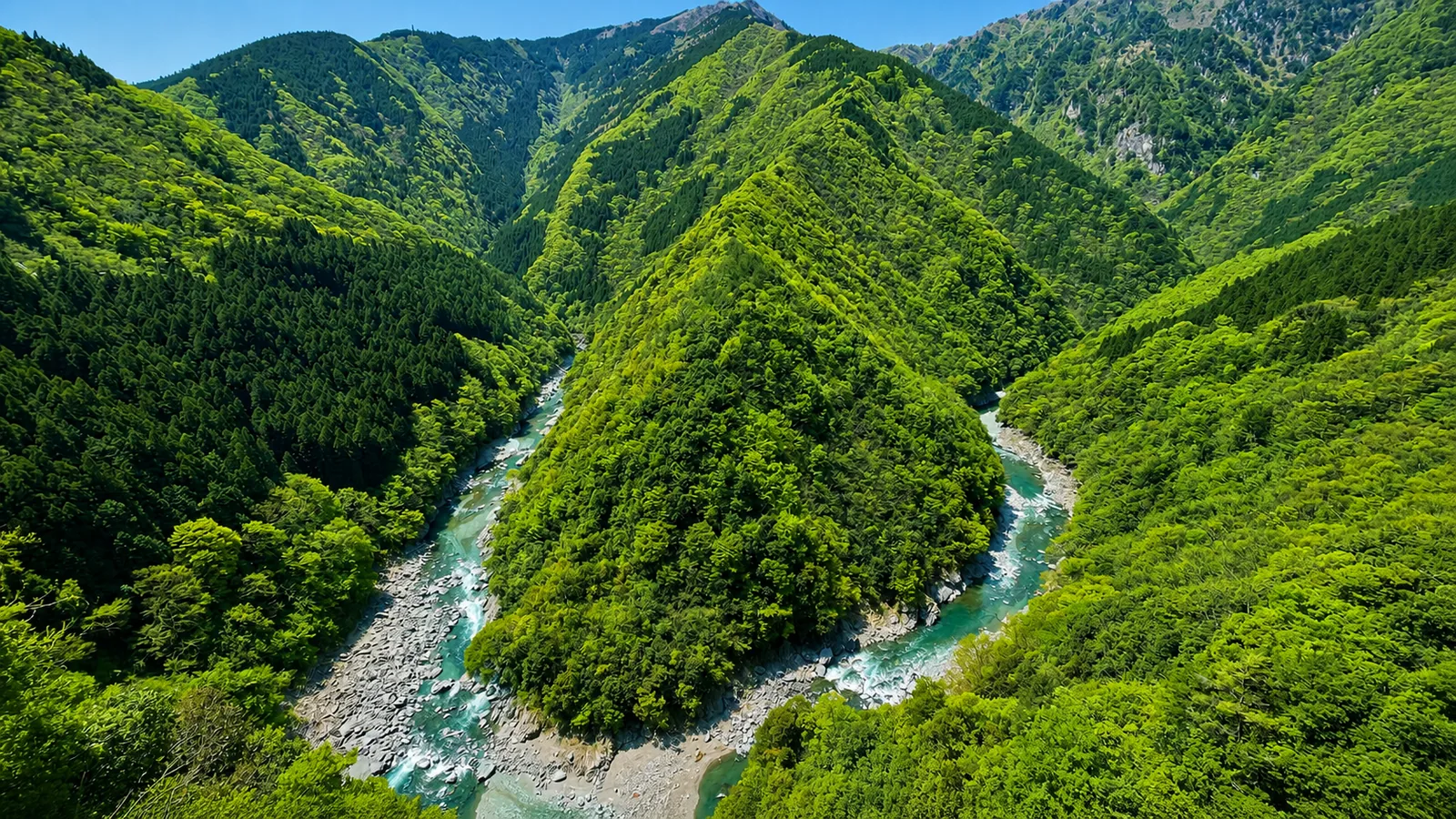 大歩危祖谷温泉郷